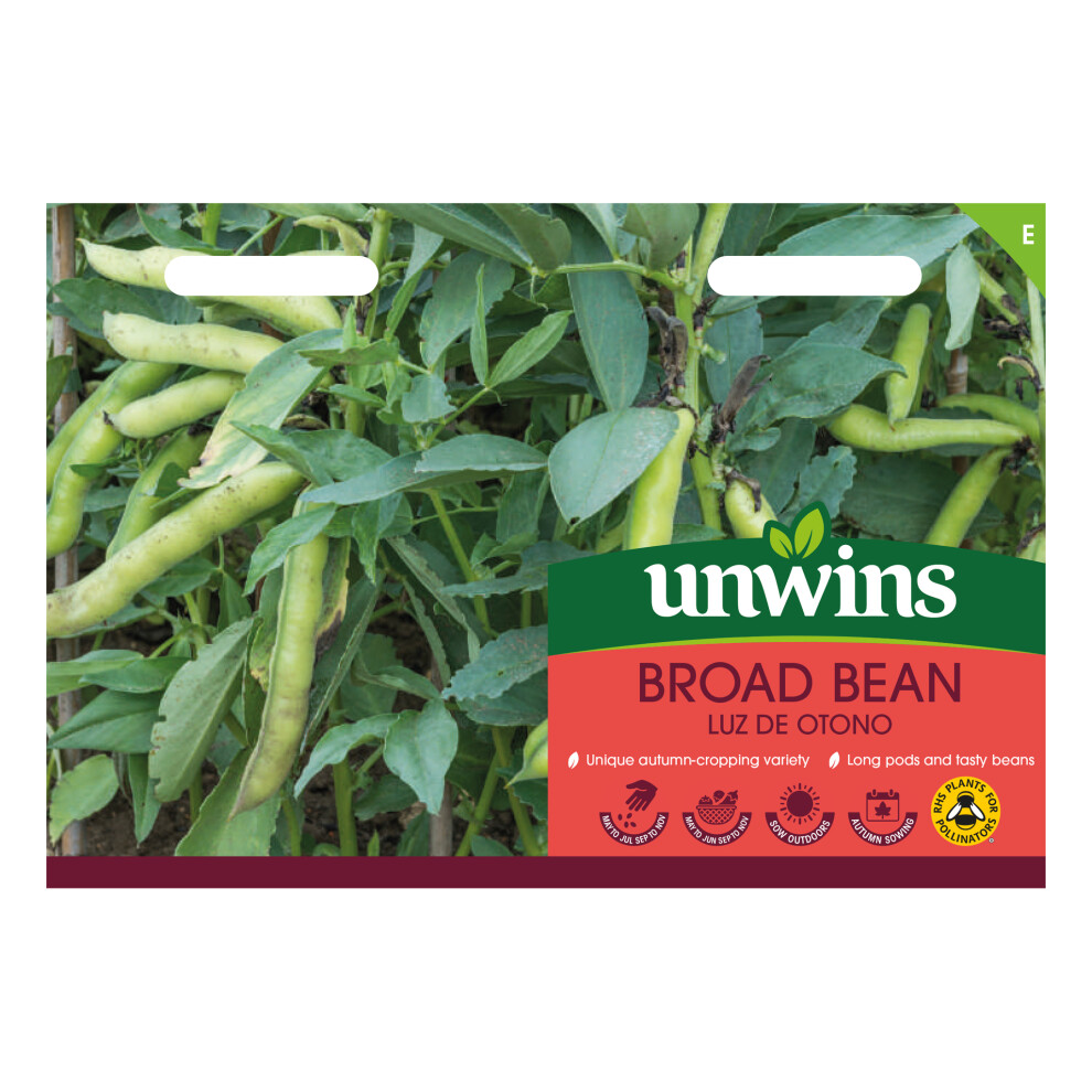 Unwins Broad Bean Luz De Otono