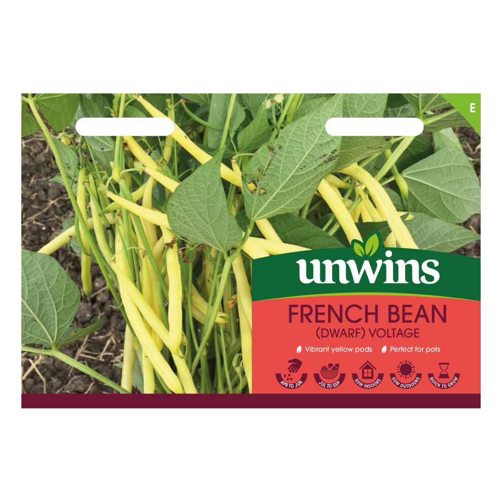 Unwins French Bean (Dwarf) Voltage Yellow