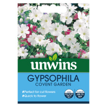 Gypsophila Covent Garden