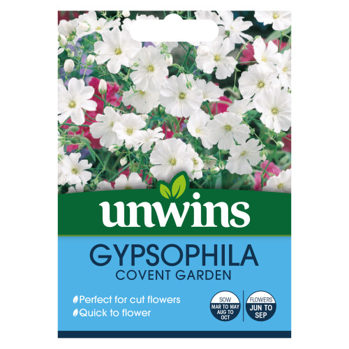 Unwins Gypsophila Covent Garden
