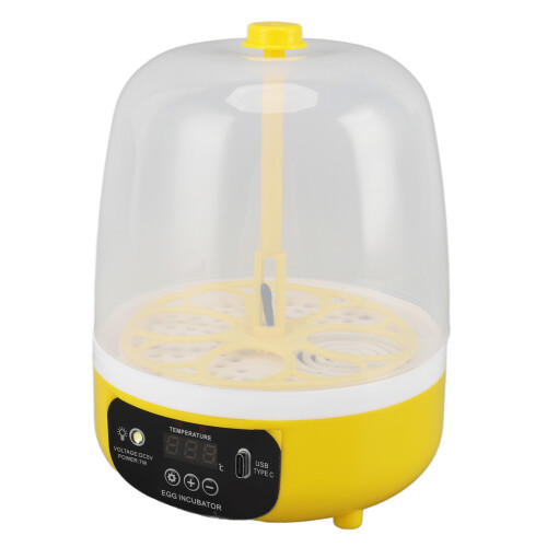 Inkubator für 4 Eier, Temperatur- und 1