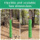 4PCS Tree Trunk Protector Plastic Spirals Tree Guards Trunk Protector Tubes Wraps Protect Plant From Deer Rabbit Cats A 3