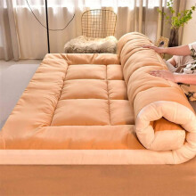 Extra Thick Japanese Floor Mattress 200x220cm Foldable Futon Bed Camping Mat Bronze Color