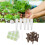 Hydroponic Pods Kit Kunststoff Torf Soilless Grow 4