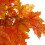 Leaf Leaf 125cm Artificial Maple Acer Tree - Potted in Black Plastic Pot Design UK 7