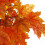 Leaf Leaf 125cm Artificial Maple Acer Tree - Potted in Black Plastic Pot Design UK 4