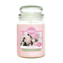 Airpure Large Scented Candle (Blush Peony) 18oz Jar Candle