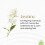 Gonesh Jasmine ââ‚âœ 100 Stick Pack ââ‚âœ Classic Incense 2