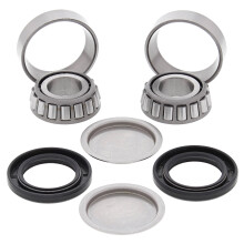 All Balls 28-1055 Swing Arm Bearing Kit