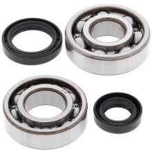 All balls 24-1015 bearing/seal kit crank (24-1015)