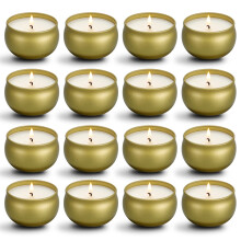 qinxiang Scented Candles Gifts Set,16 Pack Natural Soy Wax Travel Tin Jar Candles for 2.5 OZ Aromatherapy Candles for Family Gatherings, Festive Cand