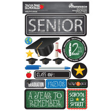 REMINISCE Been Schooled STCKRS 12TH Grade, One Size