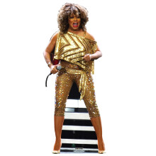 SC2378 Tina Turner London Cardboard Cutout Standee Standup