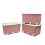 Thermobaby - PLAYBOX - MAXI 42 L - Set of 3 Storage Boxes - Plastic Storage Box with Lid - Locking Clips - Handle - Stackable - Pink 1