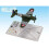 Wings Of Glory WWII Douglas A-24B Banshee Ruet 1