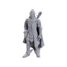 Dorian Storm: Critical Role Unpainted Miniatures (W23) - Board Game