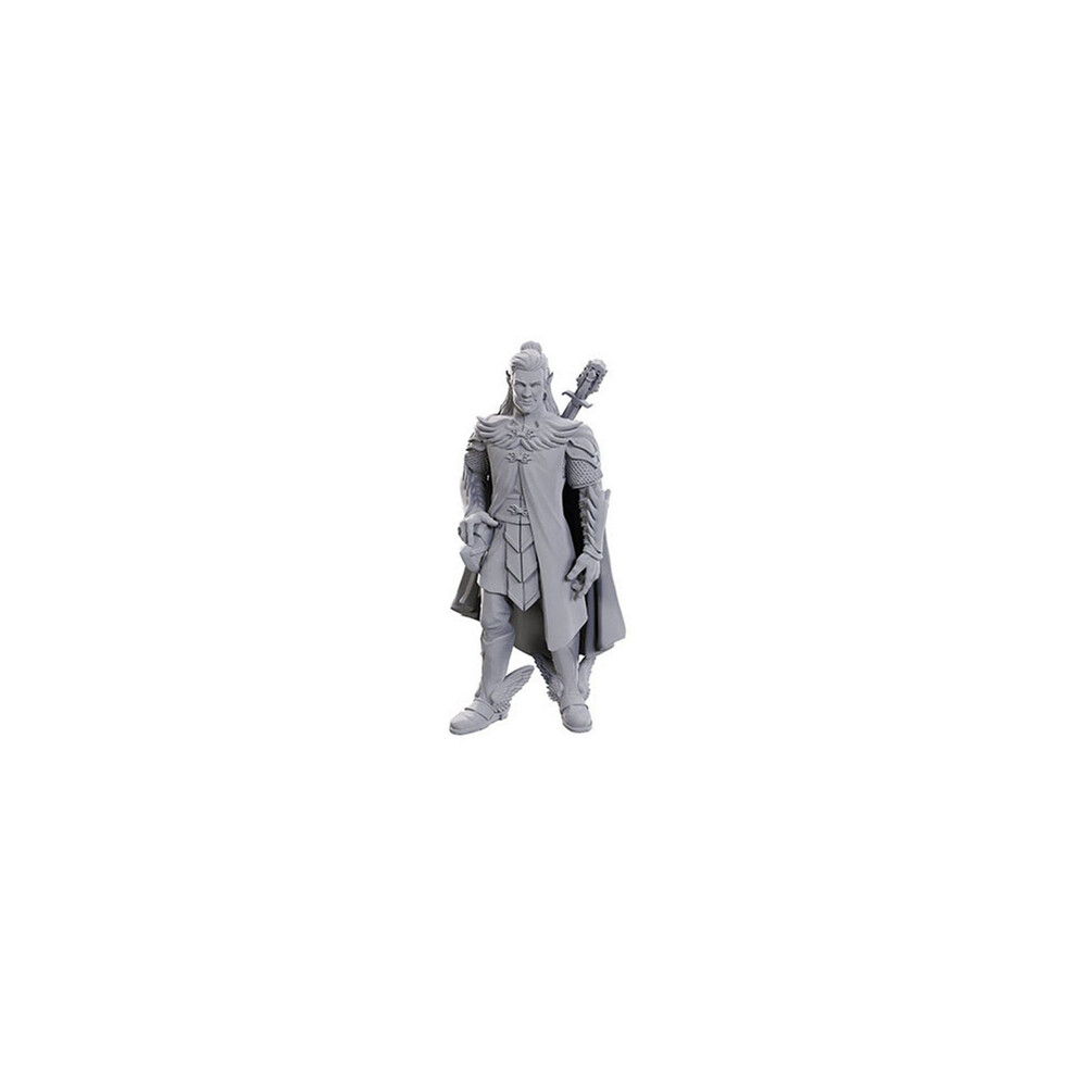 Asmodee Dorian Storm: Critical Role Unpainted Miniatures (W23)
