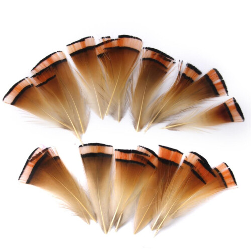 Golden Pheasant Feather for Craft Mask Hat 6-8cm 50pcs 1
