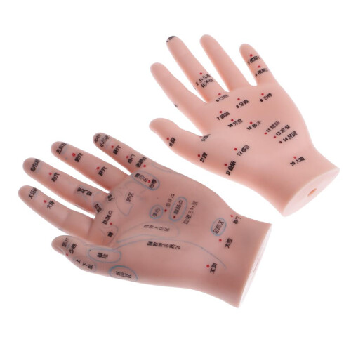14cm Message Acupuncture Hand Model Reflexology Acupoint  Study Kit
