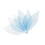 50Pcs Natural Magnolia Skeleton Leaf Leaves Card Scrapbook - Blue 1