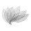 50Pcs Natural Magnolia Skeleton Leaf Leaves Card Scrapbook - Black 1
