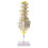 1:1 Human 5 Lumbar Vertebrae Model Statue Science Learning Tool Toy Su 1