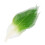 50Pcs Natural Magnolia Skeleton Leaf Leaves Card Scrapbook - Green+Whi 2