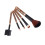 5pcs Leopard Pattern Cosmetic Makeup Brush Foundation Comb Brushes 3