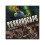 Asmodee Terrorscape Lethal Immortals - Board Game 1