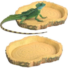 Stücke Reptilien-Wassernäpfe, Schildkrötentrinkerblatt, Reptilien-Futternapf