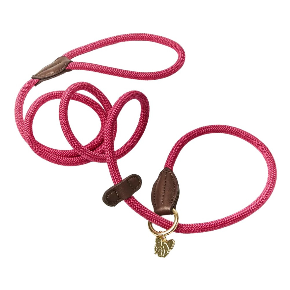 - Digby & Fox Leather Dog Slip Lead Pink (One Size) - Image 2