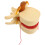 Khaki PVC Herniated Disc Spine Model Enlarged for Anatomy Study 11