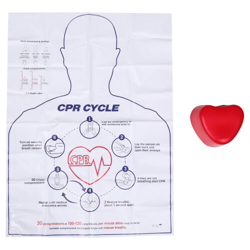 2Sets Hands-Only Cpr Training Model Heart Compression Aid for Students 1