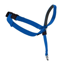 Adjustable Nylon Dog Head Collar Padded Halter NoPull Training Leash Size M Blue