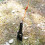 Aluminum Alloy Multipurpose Camping Shovel for Outdoors, Black 8