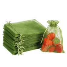 100 Sacchetti per la Protezione Della Frutta, Sacchetti In Rete per Frutta Verde da 8x12 Pollici, Sacchetti In Rete con Coulisse, Copertura per
