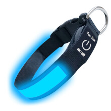 Fun Pets LED Dog Collar in Blue - USB Rechargeable Pet Safety Collar -