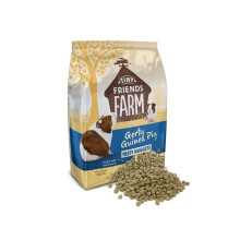 Supreme Petfoods Tiny Friends Farm Gerty Tasty Nuggets, Guinea Pig, 1.