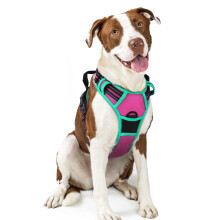 rabbitgoo Dog Harness Large Dog No Pull Pet Harness with 2 Leash Clips