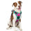 rabbitgoo Dog Harness Large Dog No Pull Pet Harness with 2 Leash Clips 1