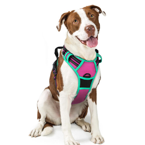 rabbitgoo Dog Harness Large Dog No Pull Pet Harness with 2 Leash Clips