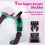 rabbitgoo Dog Harness Large Dog No Pull Pet Harness with 2 Leash Clips 4