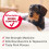 Beaphar Beaphar WORMclear Tablets for Dogs, Kills all Common UK Intestinal Wor 6