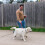 Halti HALTI Control Lead - Professional Dog Lead to Stop Pulling, Perfect fo 3