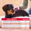 Beaphar Beaphar WORMclear Tablets for Dogs, Kills all Common UK Intestinal Wor 4