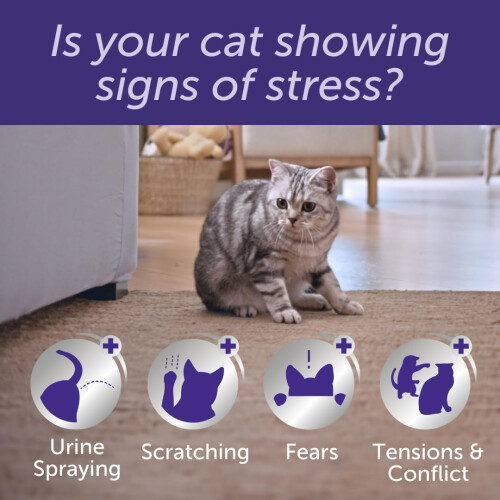 Feliway FELIWAY Optimum 30 Day Cat Calming Plug In Pheromone Diffuser Starter 1