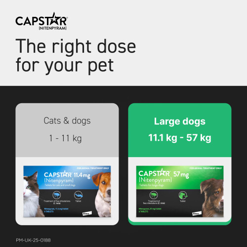 Capstar Capstar Flea Tablets, Fast Acting Flea Treatment For Medium To Large D 2
