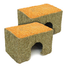 Rosewood Naturals Medium Carrot Cottage for Small Animals - Edible Toy
