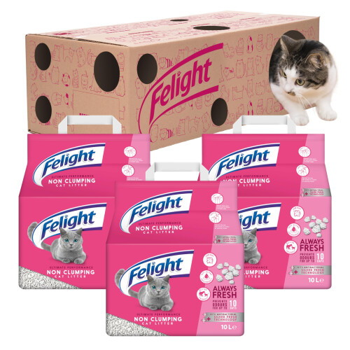 Felight Non-Clumping Cat Litter (30L Bundle) + Cardboard Playbox - Ant