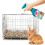 Simple Solution Cage & Hutch Natural Anti-Bacterial Cleaner, 500 ml 3